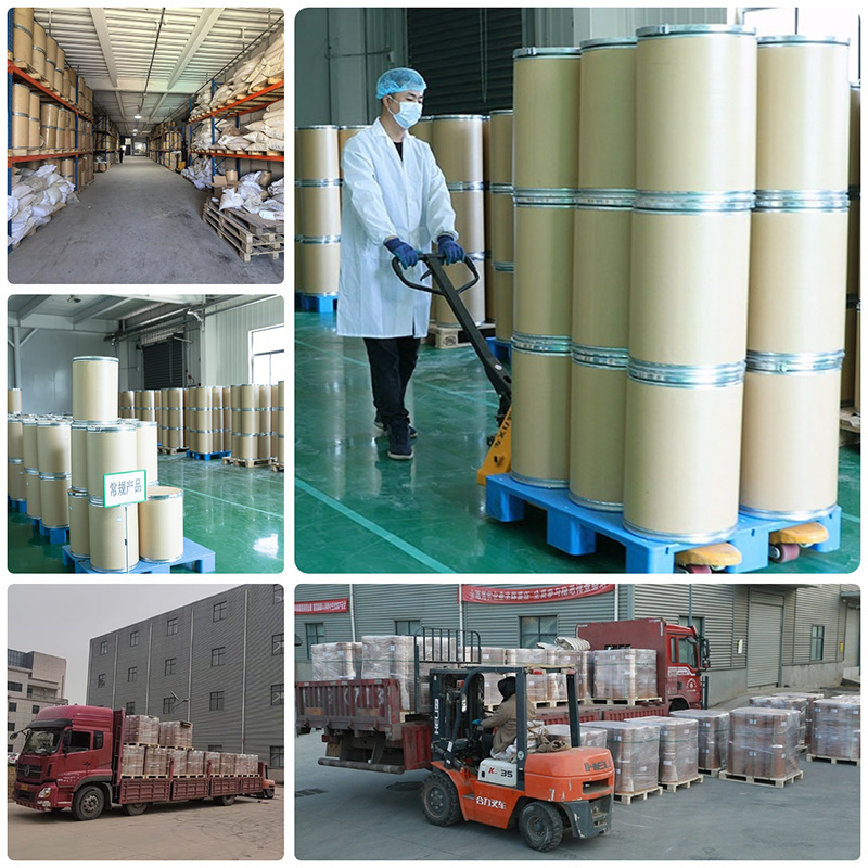 Alfalfa Powder
