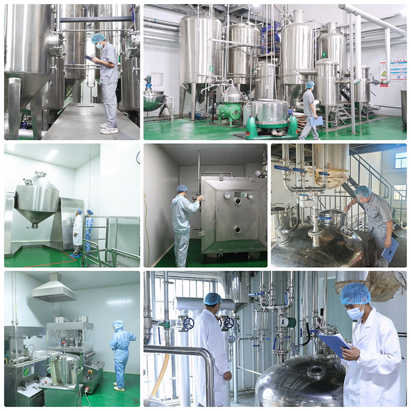 Alfalfa Powder