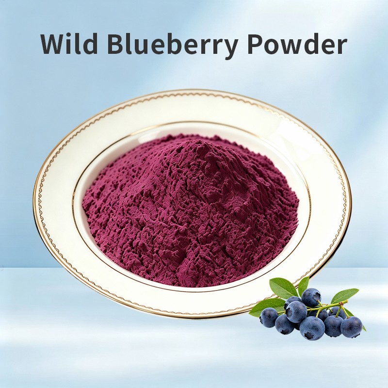 Wild Blueberry Powder
